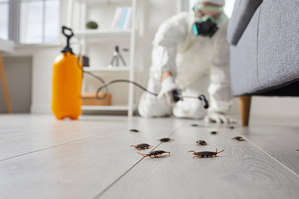 Trusted Termite Control service in King of Prussia, PA - Nex Pest Control