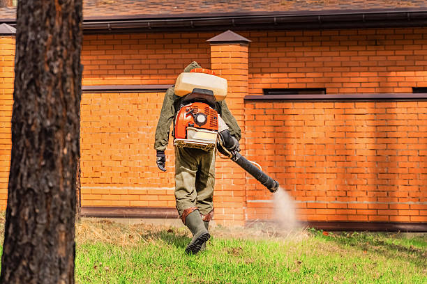 Trusted Cockroach Control service in King of Prussia, PA - Nex Pest Control